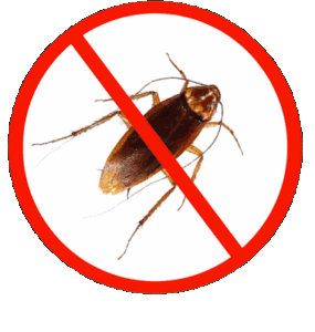 مكافحة الحشرات والقوارض