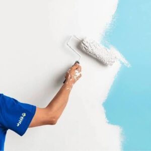  صباغ النقرة 